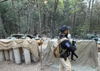 OPERATIVO ANTIDROGAS TERMINA EN TRAGEDIA: MUEREN FUNCIONARIOS DE EE.UU. Y CHIHUAHUA… Y ESTALLA CRISIS