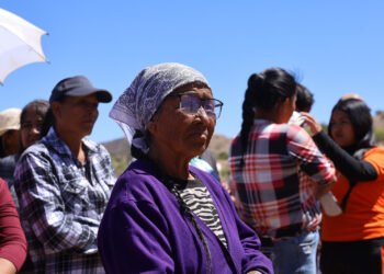Entrega SPyCI apoyos productivos y alimentarios en Guerrero