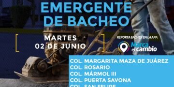 Siete zonas tendrán bacheo este martes 2 de junio: Municipio