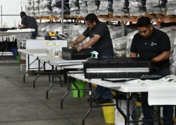Defensa Constitucional: El Juicio de Nulidad Frente a las Multas de la «Ley Silla»