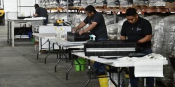 Defensa Constitucional: El Juicio de Nulidad Frente a las Multas de la «Ley Silla»